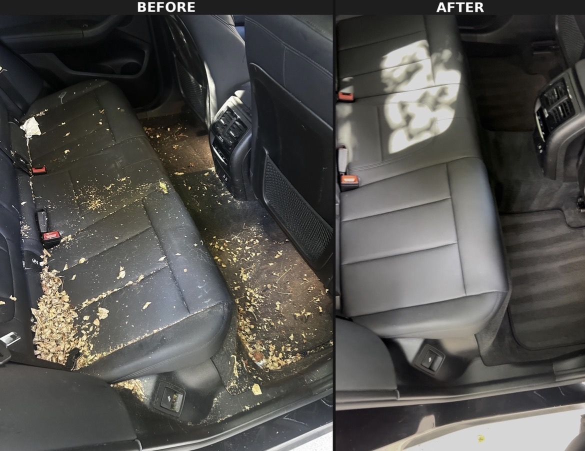Black leather rear bench covered in dry leaves before, clean and clear after