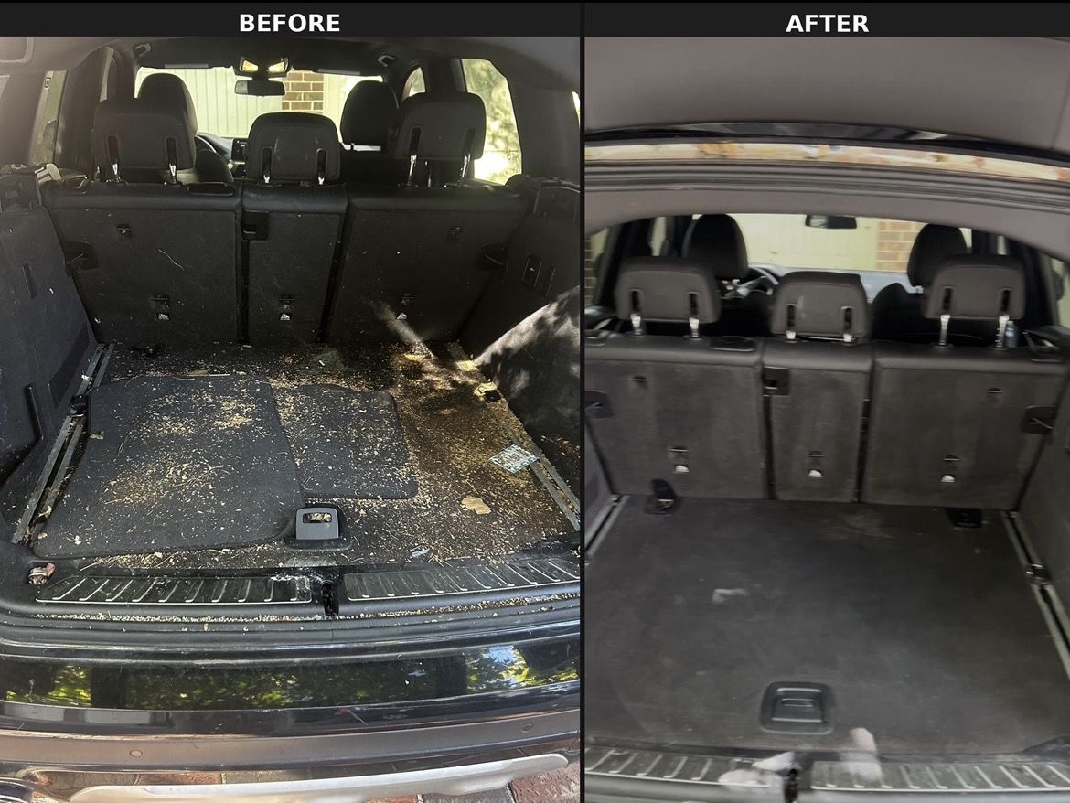 SUV cargo area buried in leaves and debris before, clean carpet after