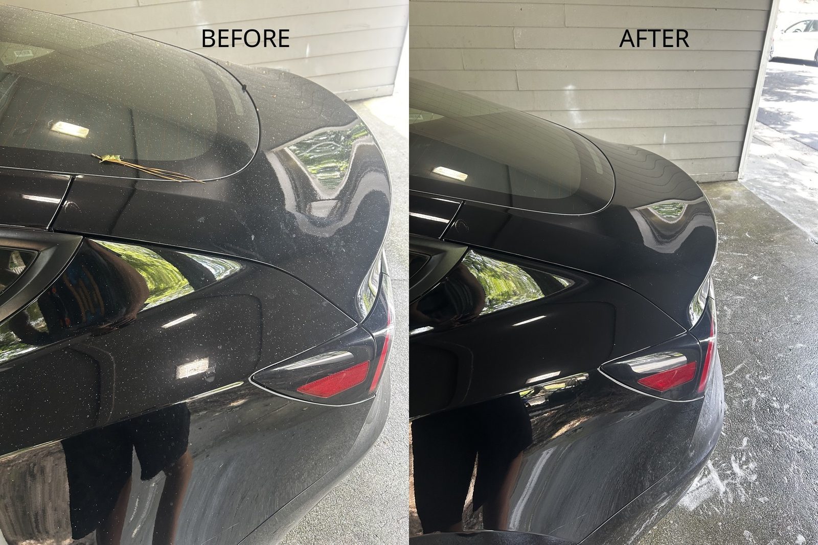 Rear quarter panel of a black car speckled with pollen and sap before, deep even gloss after